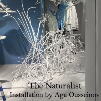 The Naturalist, Spring 2016